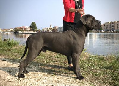 PACO