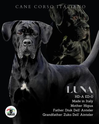 LUNA