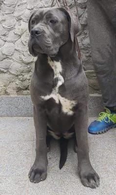 KALA BEL SPERANZA