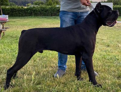 EPPUR SI MUOVE ALTRED CARBON