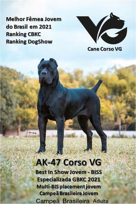 AK-47 CORSO VG