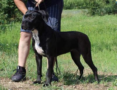 DOLLY DELLA VALLE DEI LORD