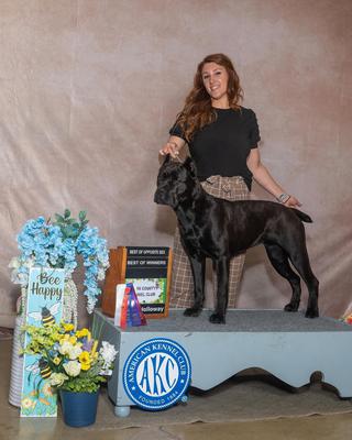 ALPHA & OMEGA VANTABLACK AT RIVALRY