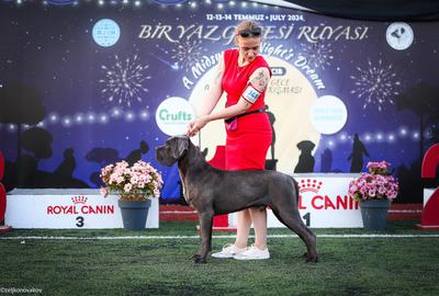 CALENDULA DEL ESTANCIO KENNEL