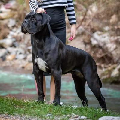G.I. JANE FRECCIA AL CUORE