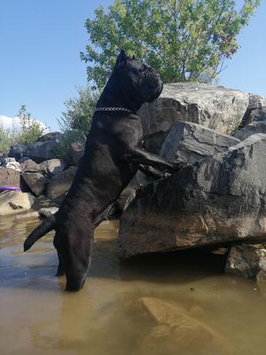 DZHENNIFER DE LUNA NERA