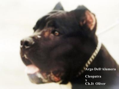 ARGO DELL'ALUMERA