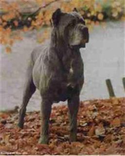 ATHOS