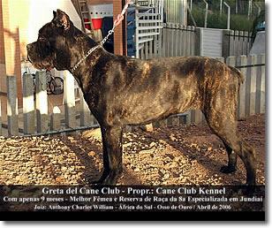 GRETA DEL CANE CLUB