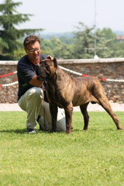 CICCIO