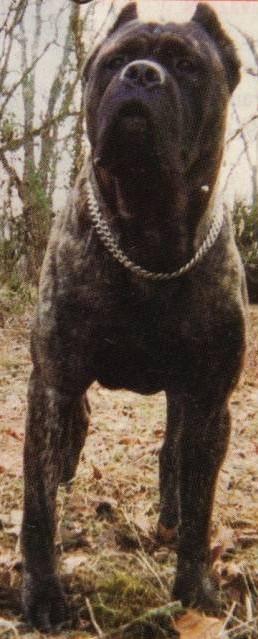 ATHOS