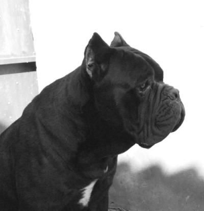 ATHOS DEMONE DAL SUD