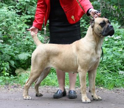 HONEY ROSE IZ DINASTII CHEMPIONOV
