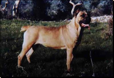DUXA