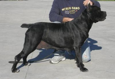 BUFERA DI CASA CESARO