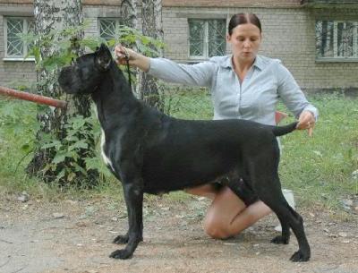 EKSKLJUZIV-N PAOLINA