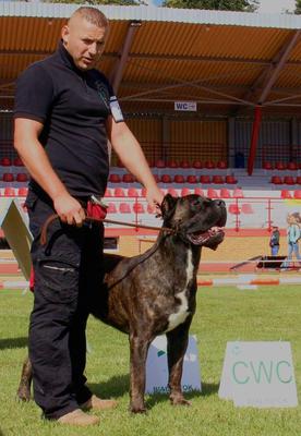ATOS VICA THE CORSO