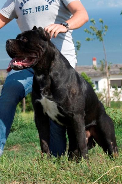 CRIXUS RES LANDES