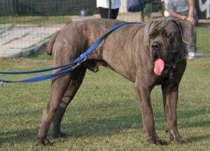 LOTHAR