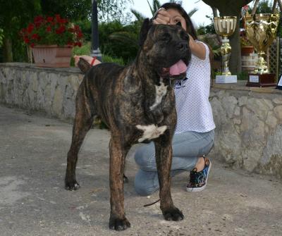 HILO