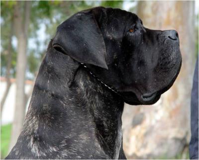 AFRODITE DELLA RURALIS GENS