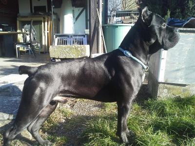 BRUNO IN CIMA DELL'IMPERO
