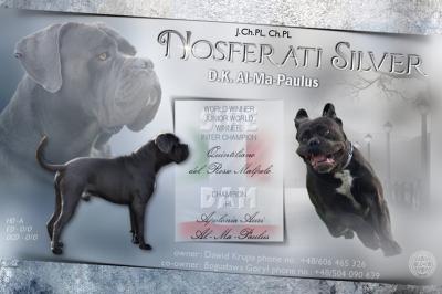 NOSFERATI SILVER DK AL-MA-PAULUS