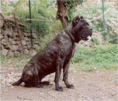 TORA DELL'ALUMERA