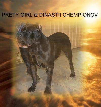 PRETTY GIRL IZ DINASTII CHEMPIONOV