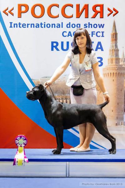 NOCHNOY DOZOR RIO RITA