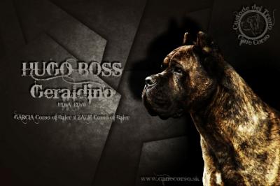 HUGO BOSS GERALDINO
