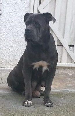 MATILDE