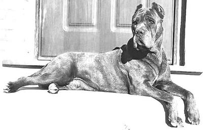 CARMENCITA