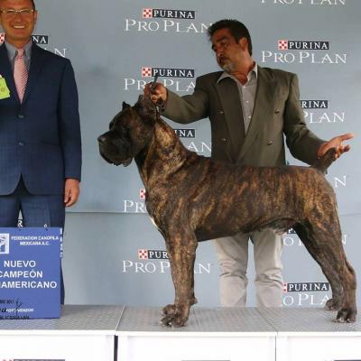EL MESQUITAL ZAC