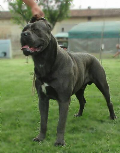 BYRON