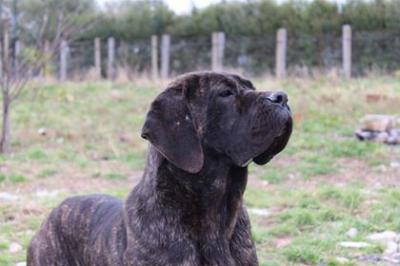 OMBRA