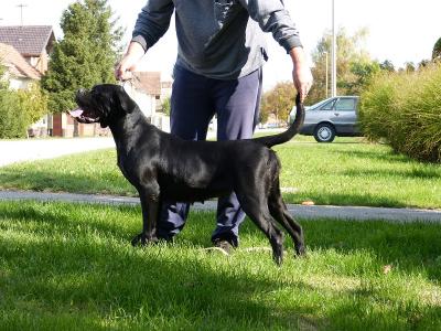 DAKOTA DON GUARD