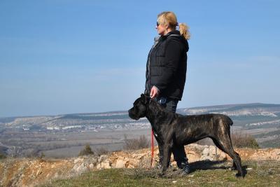 HIZARA
