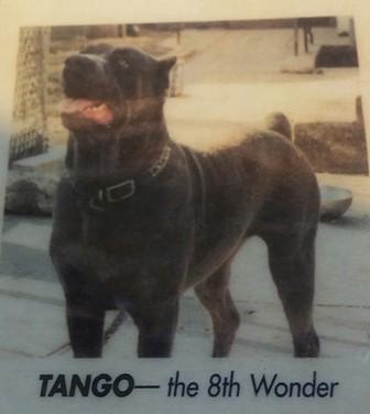 MIAH'S TANGO
