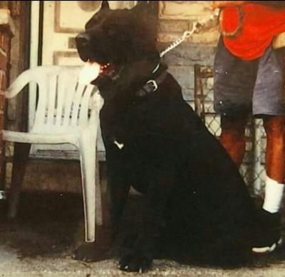 VA'S JOHN COFFEY