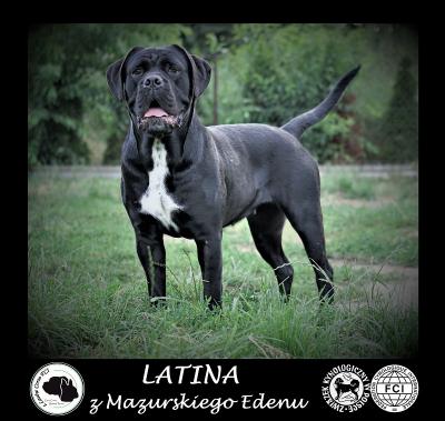 LATINA Z MAZURSKIEGO EDENU