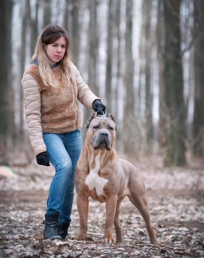 XENIE CORSO Z MACHOVA KRAJE