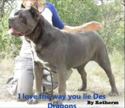 LOVE THE WAY YOU LIE DES DRAGONS DARCOLE