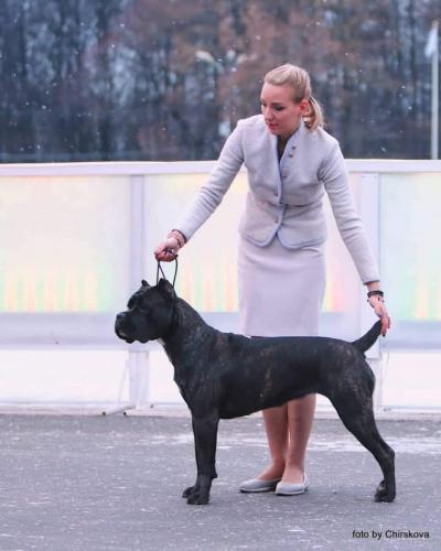 CESARIA BEAUTY GIRL IZ DINASTII KANTEMIROVYKH
