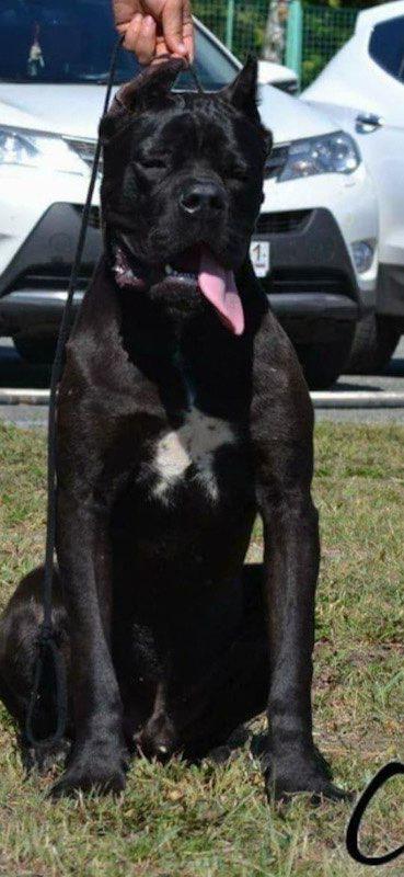 LIBERTY SPACE SMART SOLUTION