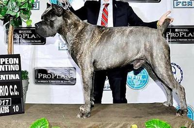 RAYMON DEL CORSOCLUB