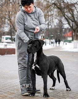 RUS BEST LANE SILVIYA