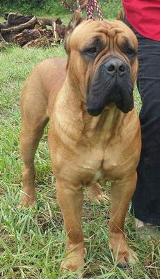 CATHEY'S CRIXUS CREATURE