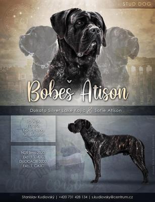 BOBES ATISON